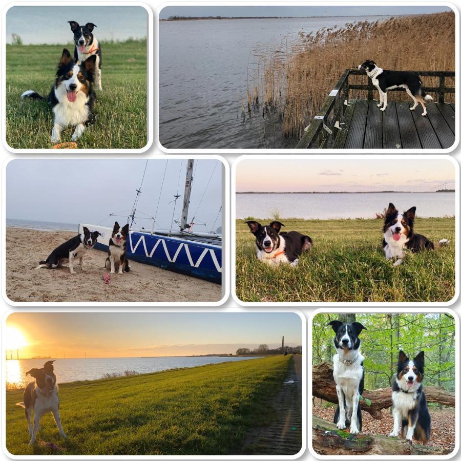 Riverside-Lemmer Exterior foto